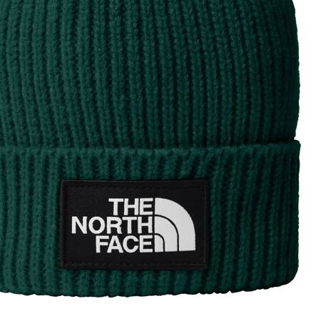 Czapka zimowa dziecięca The North Face BOX LOGO CUFFED zielona NF0A7WGCNL1