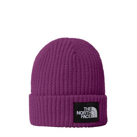 Czapka zimowa dziecięca The North Face SALTY LINED BEANIE fioletowa NF0A7WG81I7