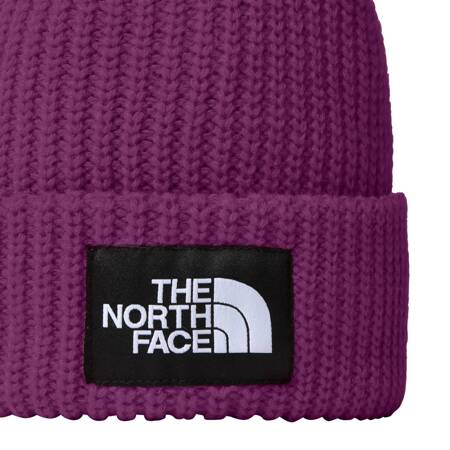 Czapka zimowa dziecięca The North Face SALTY LINED BEANIE fioletowa NF0A7WG81I7