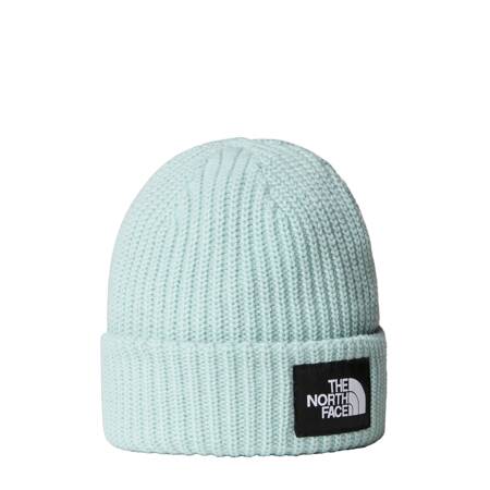 Czapka zimowa dziecięca The North Face SALTY LINED BEANIE niebieska NF0A7WG81OC