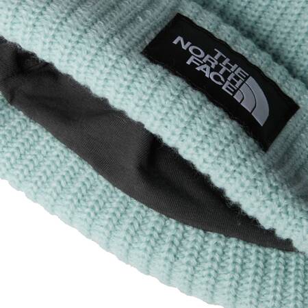 Czapka zimowa dziecięca The North Face SALTY LINED BEANIE niebieska NF0A7WG81OC