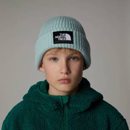 Czapka zimowa dziecięca The North Face SALTY LINED BEANIE niebieska NF0A7WG81OC