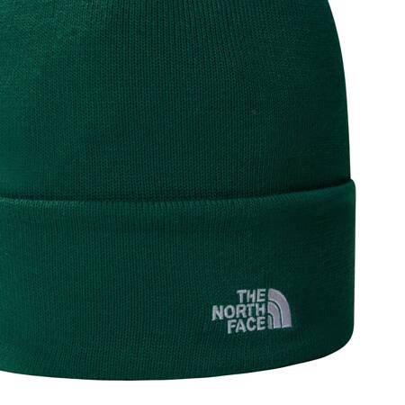 Czapka zimowa unisex The North Face NORM BEANIE zielona NF0A5FW1NL1