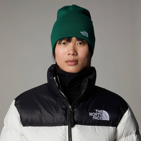 Czapka zimowa unisex The North Face NORM BEANIE zielona NF0A5FW1NL1