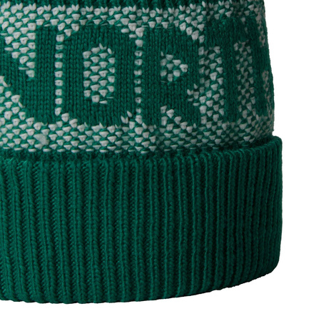 Czapka zimowa unisex The North Face RETRO CABIN BEANIE zielona NF0A88QW84O