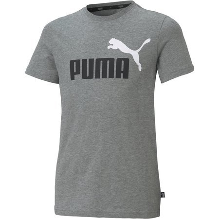 Koszulka chłopięca Puma ESSENTIALS+ 2 COL LOGO szara 58698503