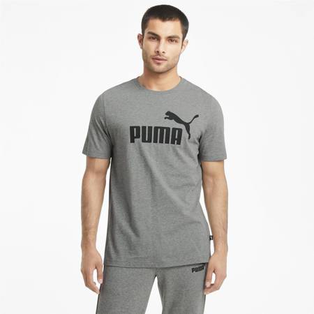 Koszulka męska Puma EES LOGO szara 58666603