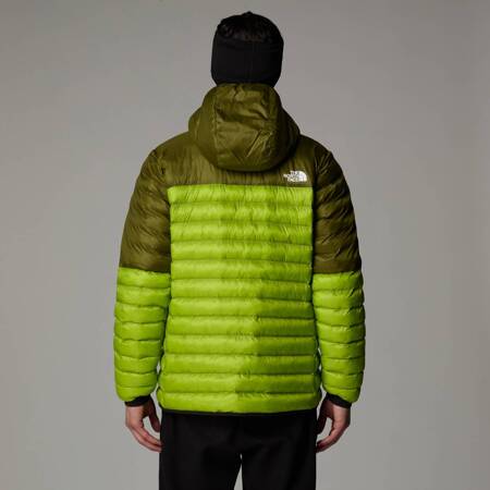 Kurtka z kapturem męska The North Face TERRA PEAK zielona NF0A88TV5QI