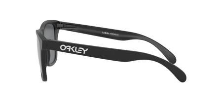 Okulary Przeciwsłoneczne Oakley FROGSKINS OO9013-F7