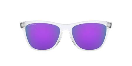 Okulary Przeciwsłoneczne Oakley FROGSKINS OO9013-H7