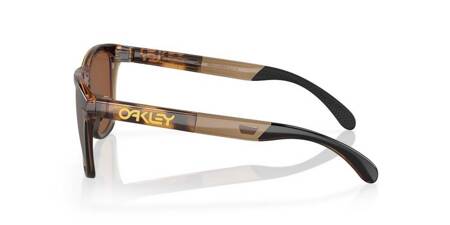 Okulary przeciwsłoneczne unisex Oakley FROGSKINS RANGE brązowe OO9284-07