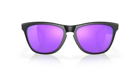 Okulary przeciwsłoneczne unisex Oakley FROGSKINS czarne OO9013-H6