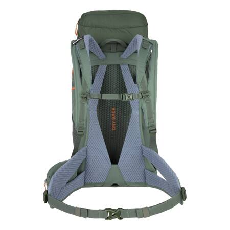 Plecak trekkingowy unisex Salewa ALP TRAINER 35+3 L zielony 00-0000001228_5080