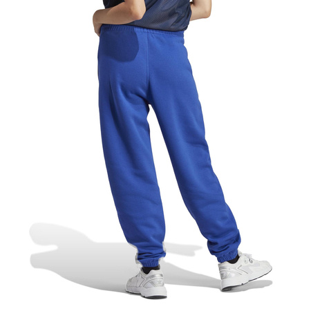 Spodnie dresowe damskie adidas ORIGINALS Essentials niebieskie IA6434