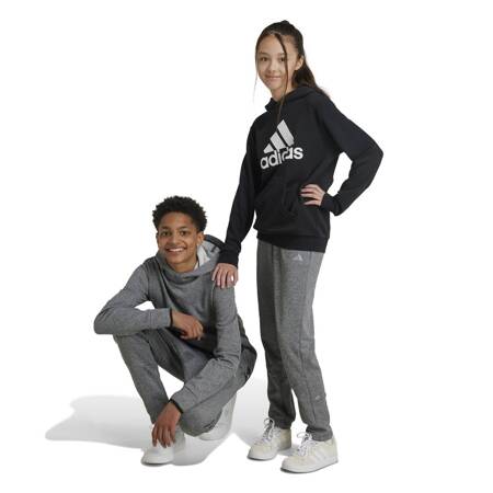 Spodnie dresowe dziecięce adidas KIDS szare IV9496