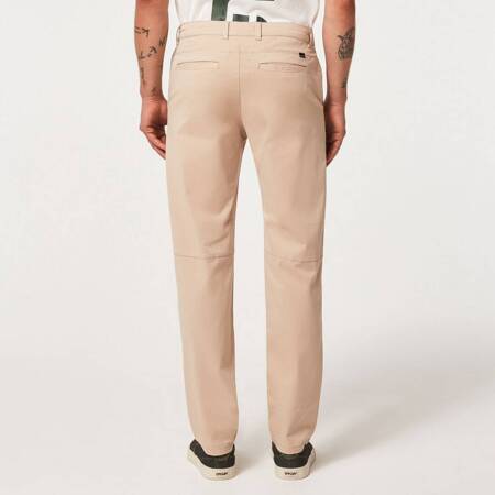Spodnie męskie Oakley ALLDAY CHINO beżowe FOA404317-31R