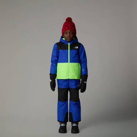 Spodnie narciarskie dziecięce The North Face FREEDOM INSULATED niebieskie NF0A88VMCZ6