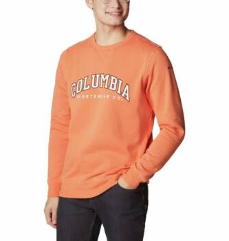 Bluza bez kaptura Columbia Logo Fleece Crew Męska