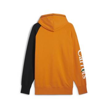 Bluza z kapturem męska Puma X CARROTS GRAPHIC TR pomarańczowa 62744545