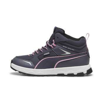 Buty sportowe dziecięce Puma EVOLVE TRAIL JR szare  39764403