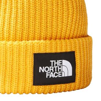 Czapka Zimowa The North Face SALTY LINED BEANIE NF0A3FJW56P