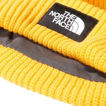 Czapka Zimowa The North Face SALTY LINED BEANIE NF0A3FJW56P