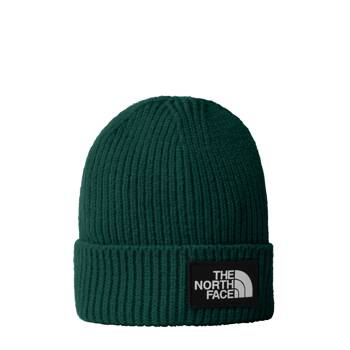 Czapka zimowa dziecięca The North Face BOX LOGO CUFFED zielona NF0A7WGCNL1