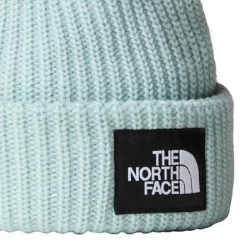 Czapka zimowa dziecięca The North Face SALTY LINED BEANIE niebieska NF0A7WG81OC