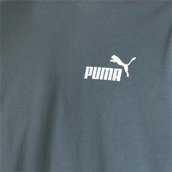 Koszulka męska Puma POWER SUMMER GRAPHIC szara 67158242