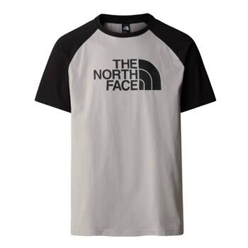 Koszulka męska The North Face RAGLAN EASY szaraNF0A87N7PI6