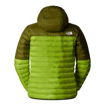 Kurtka z kapturem męska The North Face TERRA PEAK zielona NF0A88TV5QI